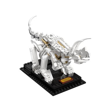 LEGO 21320 Ideas Szkielety dinozaurów – zdjęcie