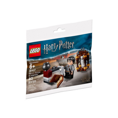 LEGO 30407 Harry Potter Harry’s Journey to Hogwarts – zdjęcie