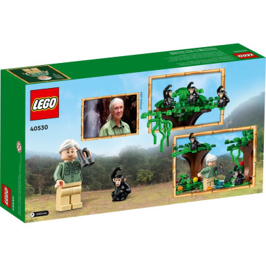 LEGO 40530 Hołd dla Jane Goodall – zdjęcie