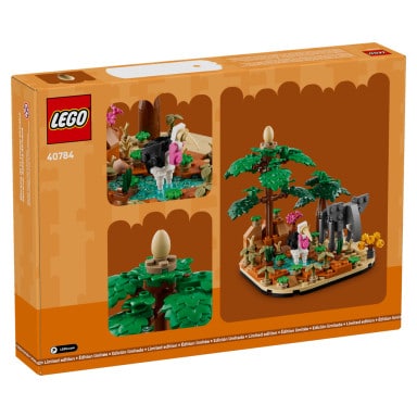 LEGO 40784 Diorama z afrykańską sawanną – zdjęcie