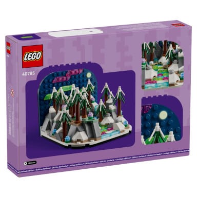 LEGO 40785 Diorama z zorzą polarną – zdjęcie