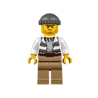 LEGO 60065 City Patrolowy quad – zdjęcie