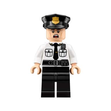 LEGO 70910 Batman Movie Przesyłka specjalna Scarecrowa – zdjęcie