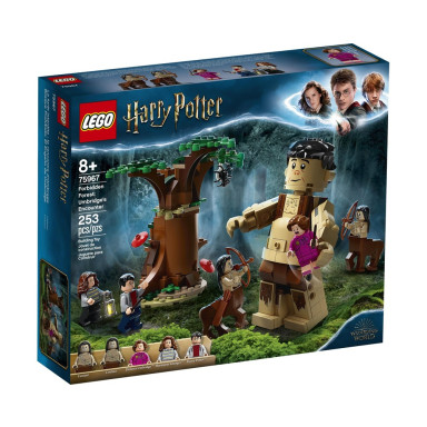 LEGO 75967 Harry Potter Zakazany Las: spotkanie Umbridge – zdjęcie