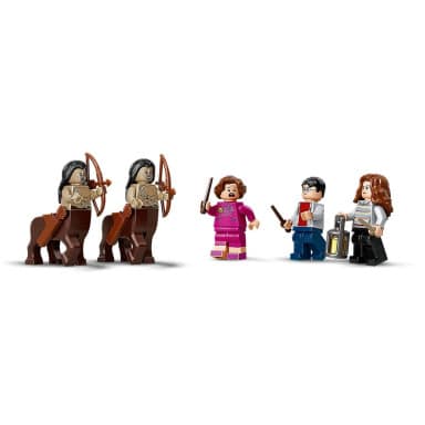 LEGO 75967 Harry Potter Zakazany Las: spotkanie Umbridge – zdjęcie