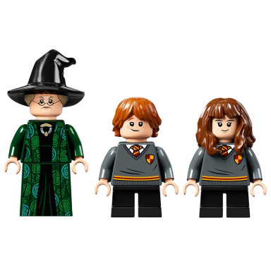 LEGO 76382 Harry Potter Chwile z Hogwartu: zajęcia z transfiguracji – zdjęcie