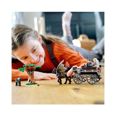 LEGO 76400 Harry Potter Testrale i kareta z Hogwartu – zdjęcie