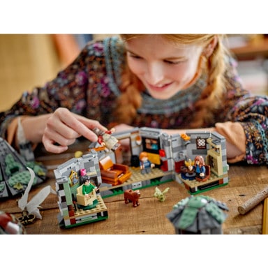 LEGO 76428 Harry Potter Chatka Hagrida: niespodziewana wizyta – zdjęcie