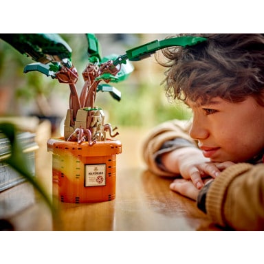 LEGO 76433 Harry Potter Mandragora – zdjęcie