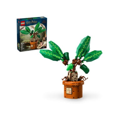LEGO 76433 Harry Potter Mandragora – zdjęcie