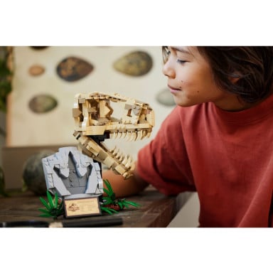 LEGO 76964 Jurassic World Szkielety dinozaurów — czaszka tyranozaura – zdjęcie