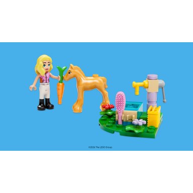 LEGO 6636931 Friends First Friendship – zdjęcie