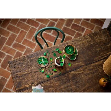 LEGO 11512 Botanicals Wiszące epipremnum złociste – zdjęcie