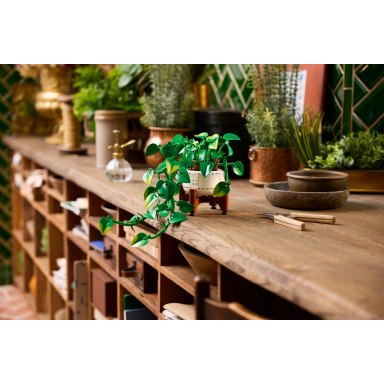 LEGO 11512 Botanicals Wiszące epipremnum złociste – zdjęcie