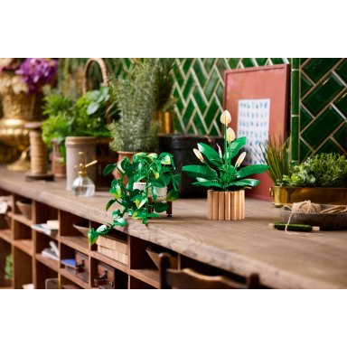 LEGO 11512 Botanicals Wiszące epipremnum złociste – zdjęcie