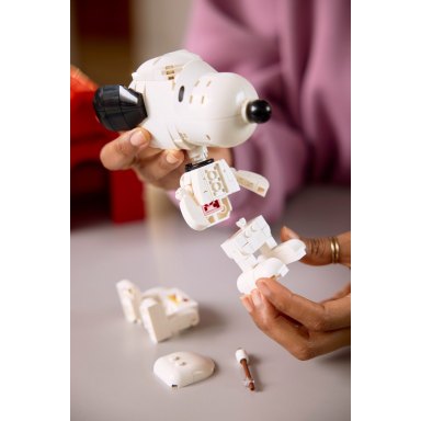 LEGO 21368 LEGO Ideas and CUUSOO Fistaszki: Buda Snoopy’ego – zdjęcie