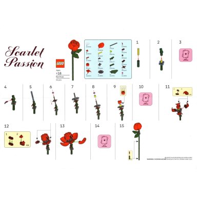 LEGO 6646740 Botanicals Scarlet Passion – zdjęcie