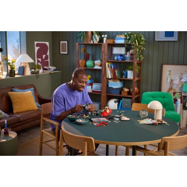LEGO 21371 LEGO Ideas and CUUSOO Wallace & Gromit – zdjęcie