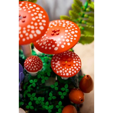 LEGO 11505 Botanicals Grzyby leśne – zdjęcie