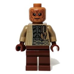 Minifigurka LEGO Weequay Guard